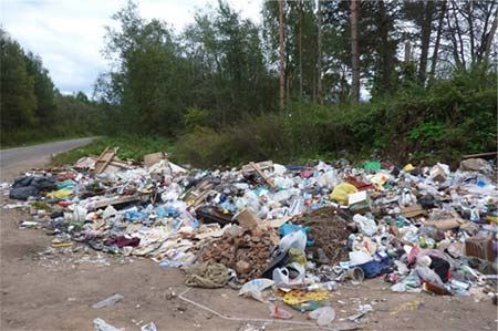 Несанкционированные придорожные свалки